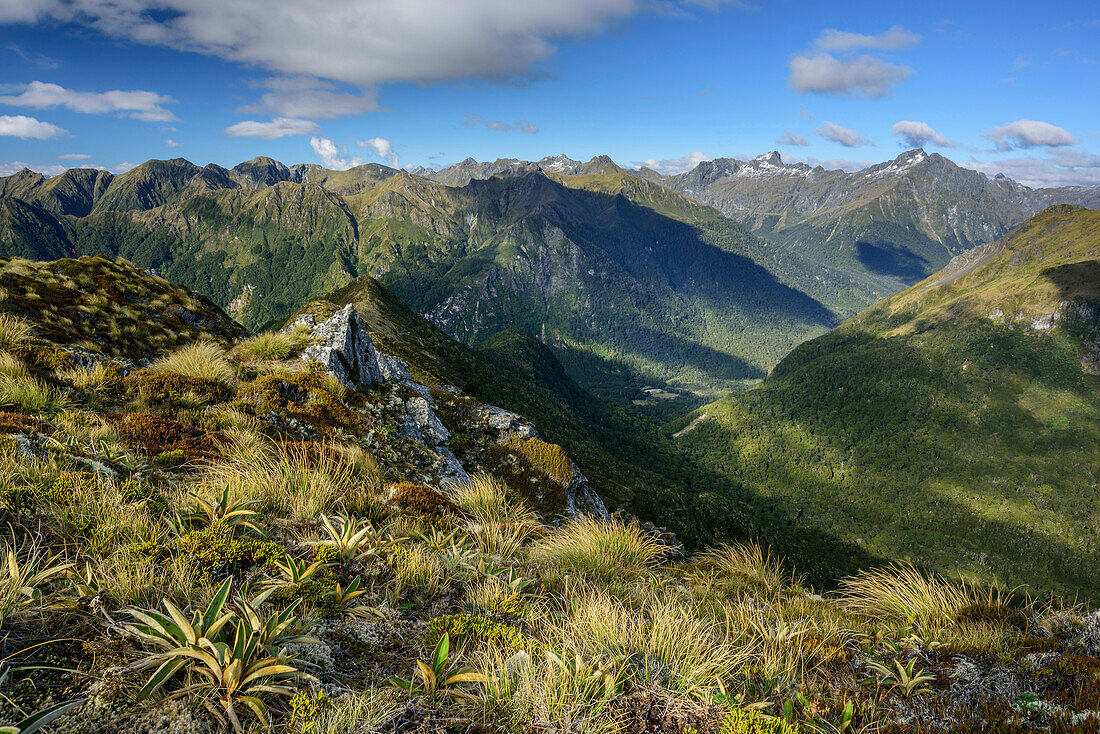 Blick auf Fiordland Nationalpark vom Kepler Track, Kepler Track, Great Walks, Fiordlands Nationalpark, UNESCO Welterbe Te Wahipounamu, Southland, Südinsel, Neuseeland