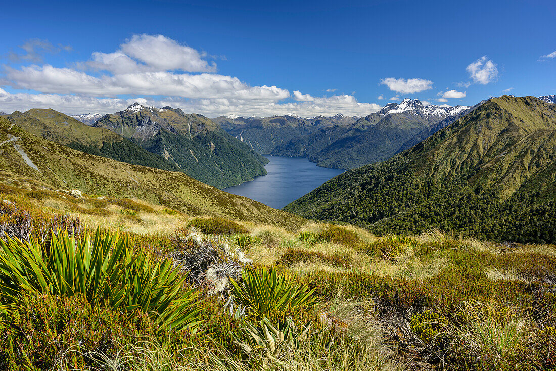View towards Lake Te Anau, Kepler Track, Great Walks, Fiordland National Park, UNESCO Welterbe Te Wahipounamu, Southland, South island, New Zealand