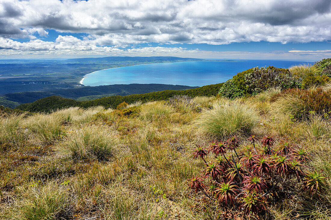 View from Hump Ridge to Tasman Sea, Hump Ridge, Hump Ridge Track, Fiordlands National Park, UNESCO world heritage Te Wahipounamu, Southland, South island, New Zealand