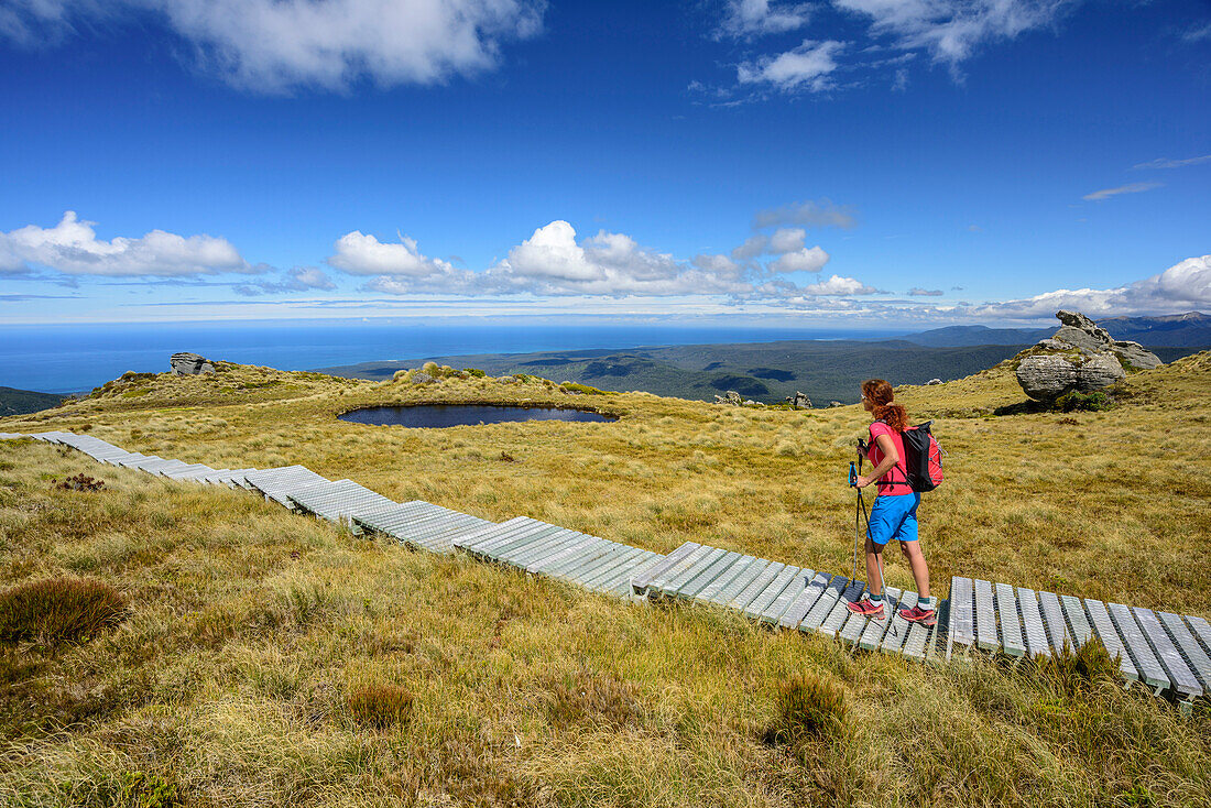 Frau wandert auf Holzsteg, Tasmanische See im Hintergrund, Hump Ridge, Hump Ridge Track, Fiordlands Nationalpark, UNESCO Welterbe Te Wahipounamu, Southland, Südinsel, Neuseeland