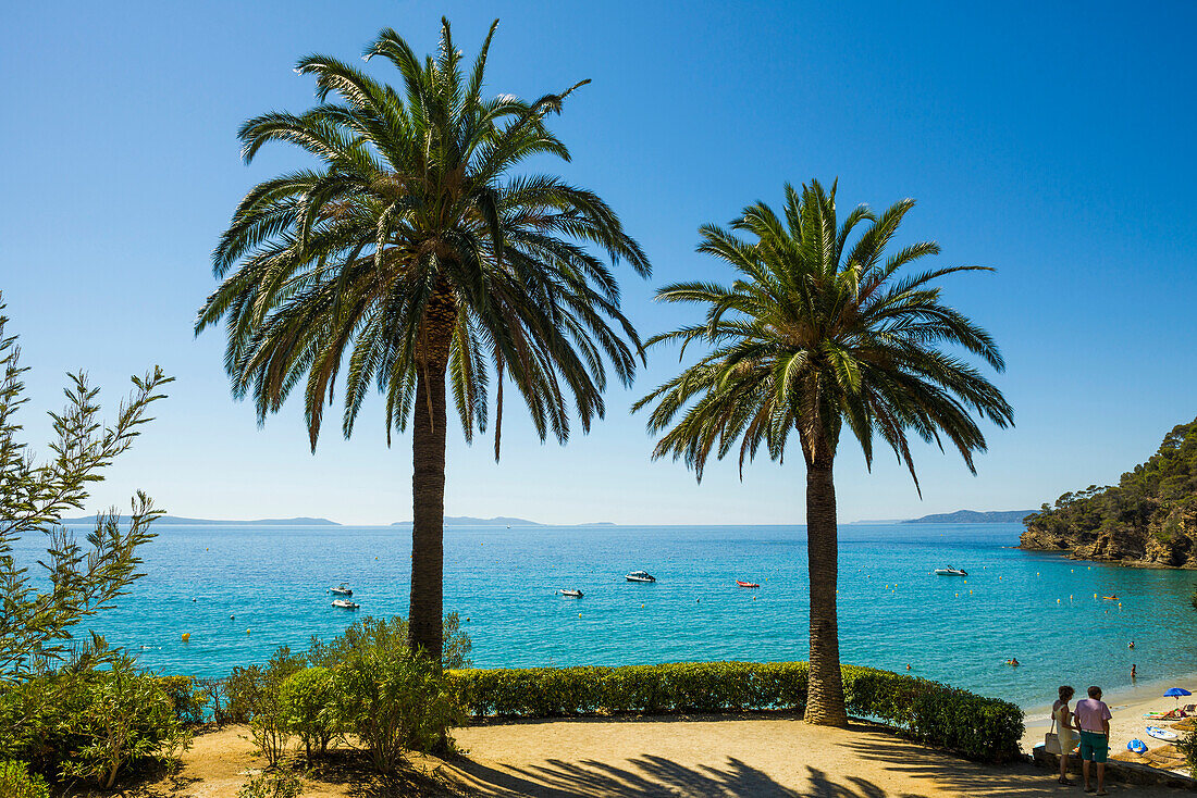 Viewing terrace with palm trees, Rayol-Canadel-sur-Mer, Var, Cote d' Azur, South of France, France