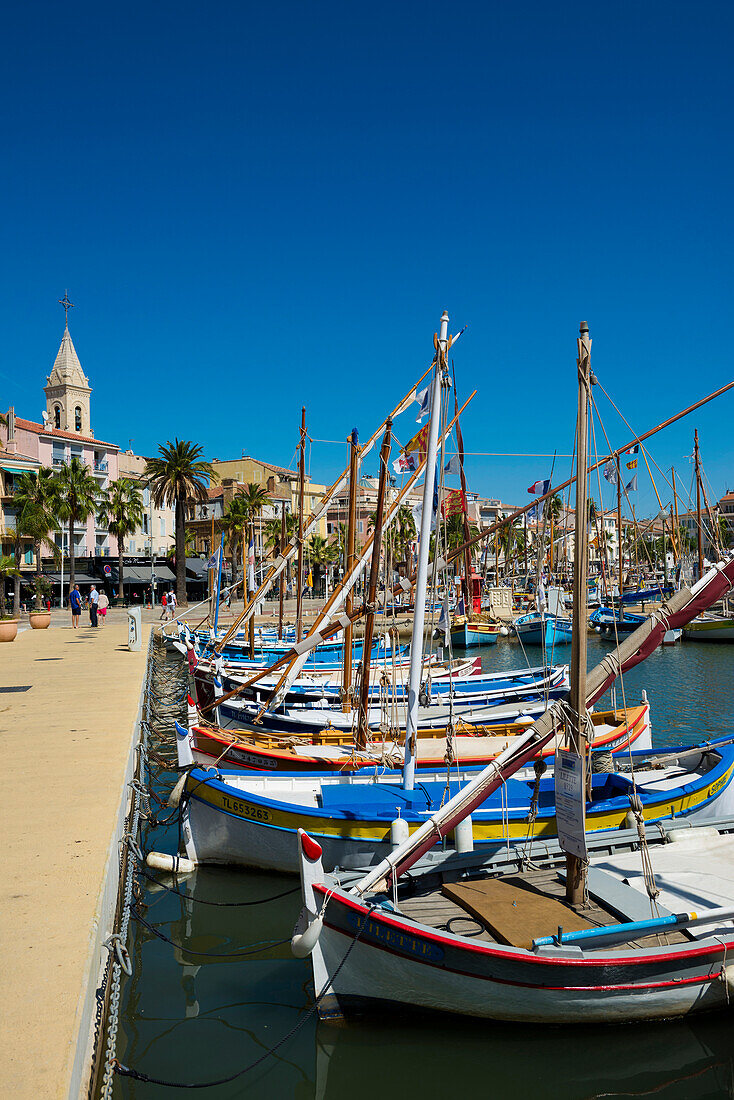 Port with historic fishing boats, Sanary-sur-Mer, Provence-Alpes-Côte d' Azur, France