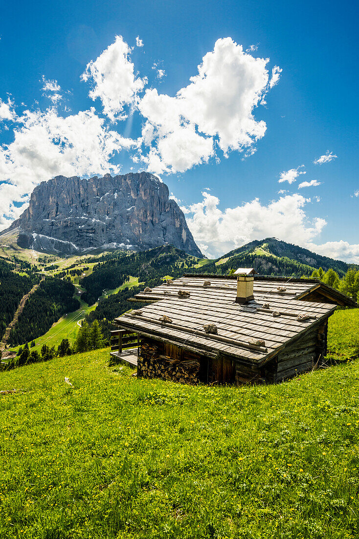 Cottage on the Gardena Pass and Sasso Lungo Mountain, Gardena Pass, Dolomites, Alto Adige, Italy, Europe