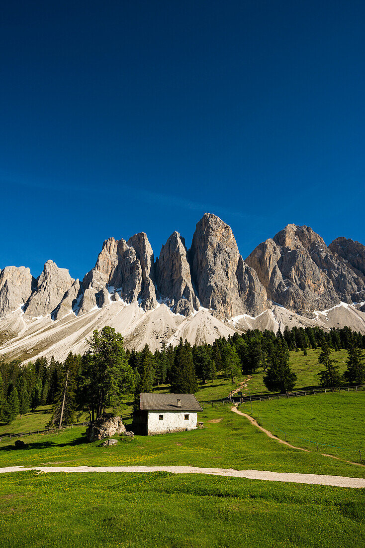 Glatschalm unterhalb der Geislerspitzen, Villnösstal, Sass Rigais, Dolomiten, Südtirol, Italien