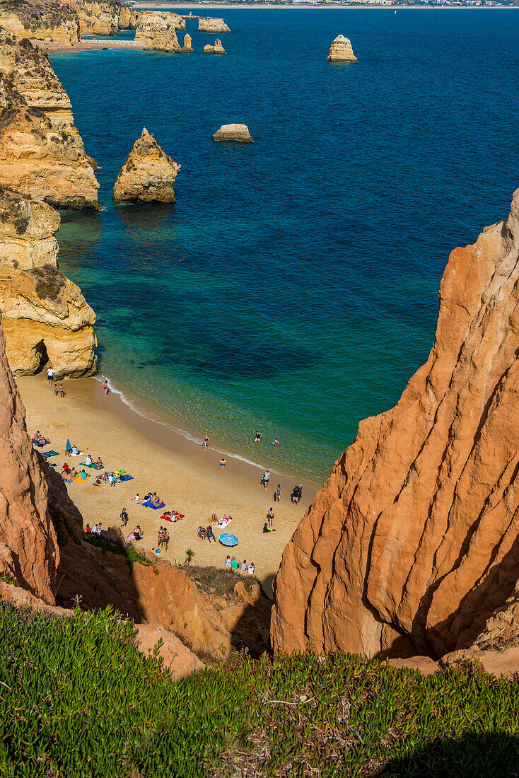 Swimmers on the beach between steep cliffs, Praia do Camilo, Lagos, Algarve, Portugal