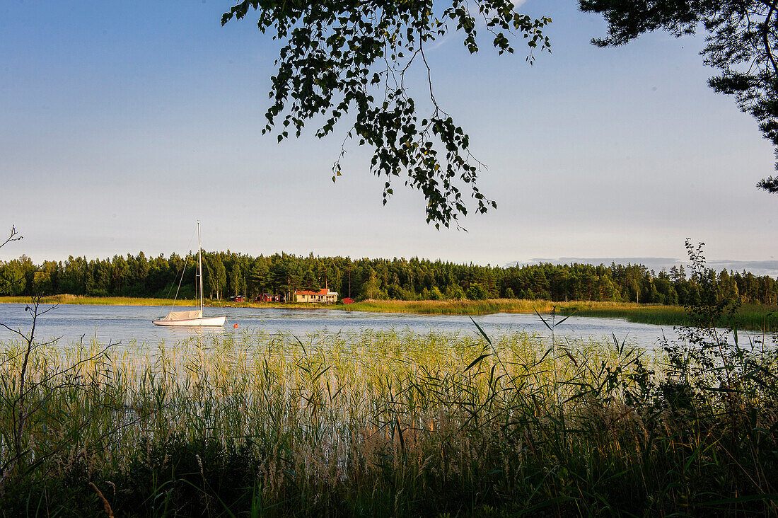Landschaft am Vaenersee Torsoe Insel bei Mariestad, Vänernsee, Schweden