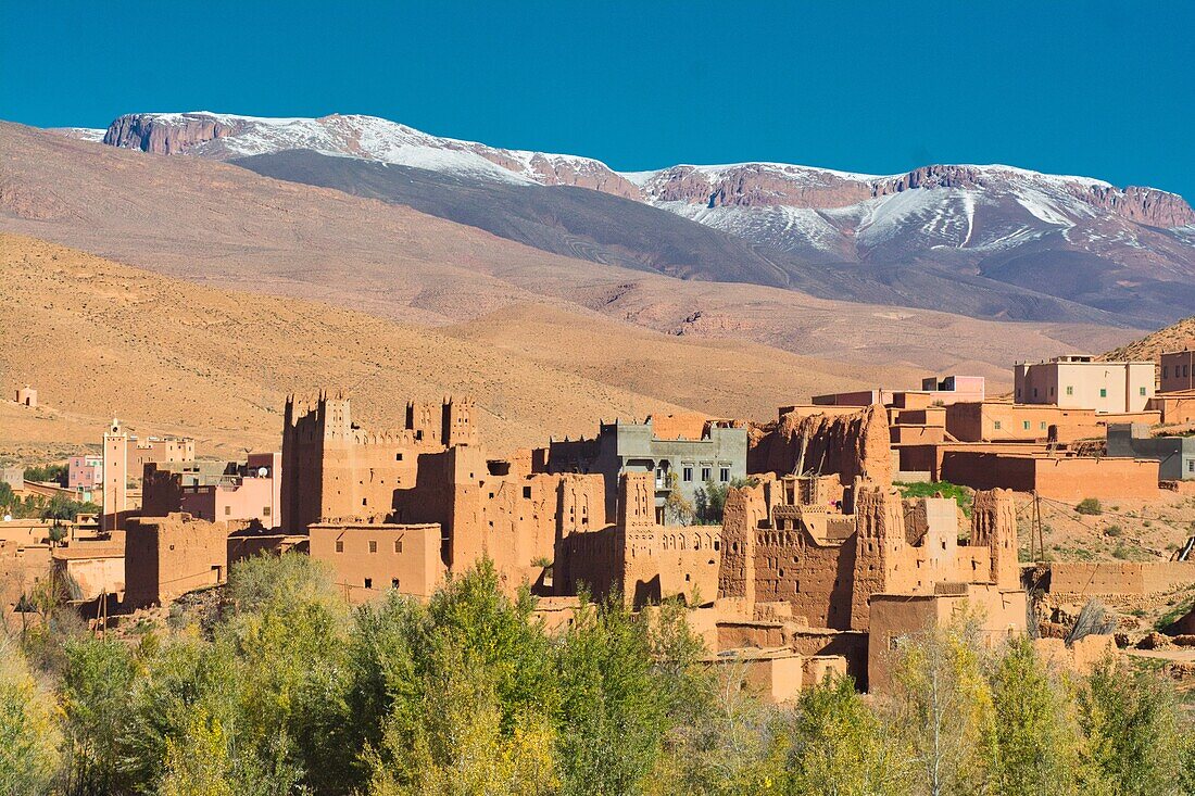 Taourirt in the upper valley of the Dadés Gorge with poplars and snowcapped mountains, High Atlas, Morocco