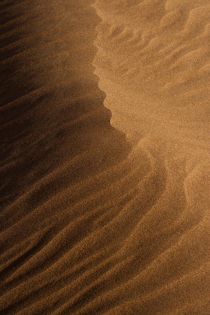 Sand structures on a dune in the Erg Chegaga, Sahara, Morocco