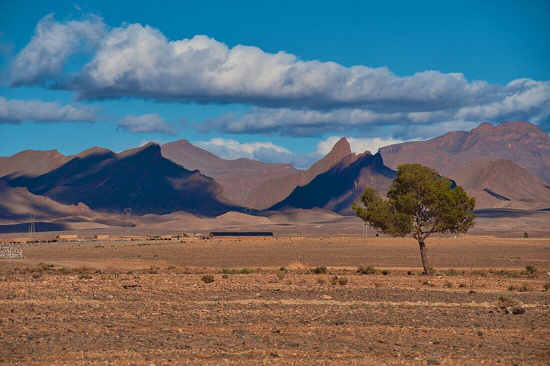 Plain in the upper Ziz Valley, Middle Atlas, Morocco