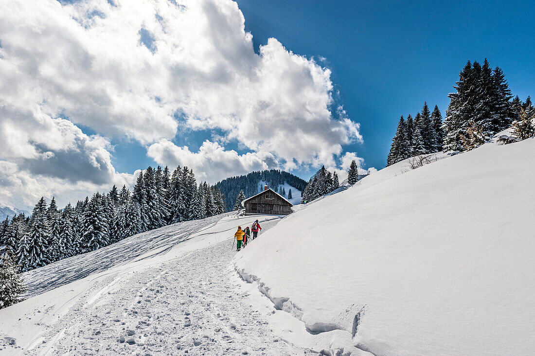 Snowshoeing through a snowy landscape, Ofterschwanger Horn, Illertal, Hoernerdoerfer, Allgaaeu, Baden-Wuerttemberg, Germany, Europe, winter, Alps