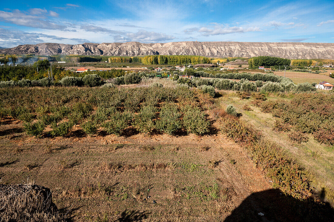 field, Cuevas, la Granja, Guadix, Andalusia, Spain, Europe