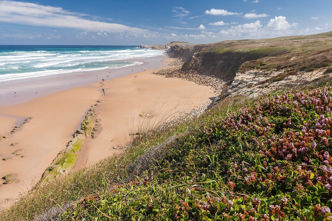Natural Park of the Dunes of Liencres, Liencres, Cantabria, Spain.