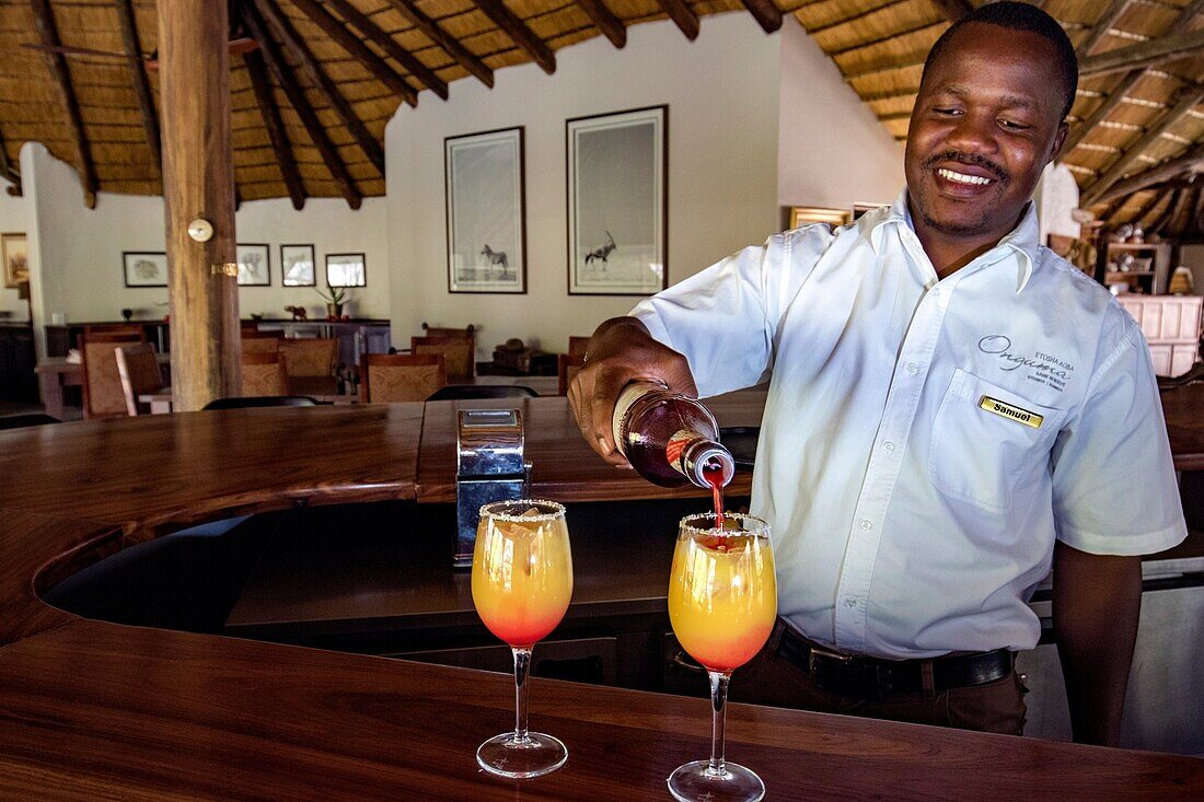 Bartender at Etosha Aoba Lodge, Onguma Game Reserve, Namibia, Africa.