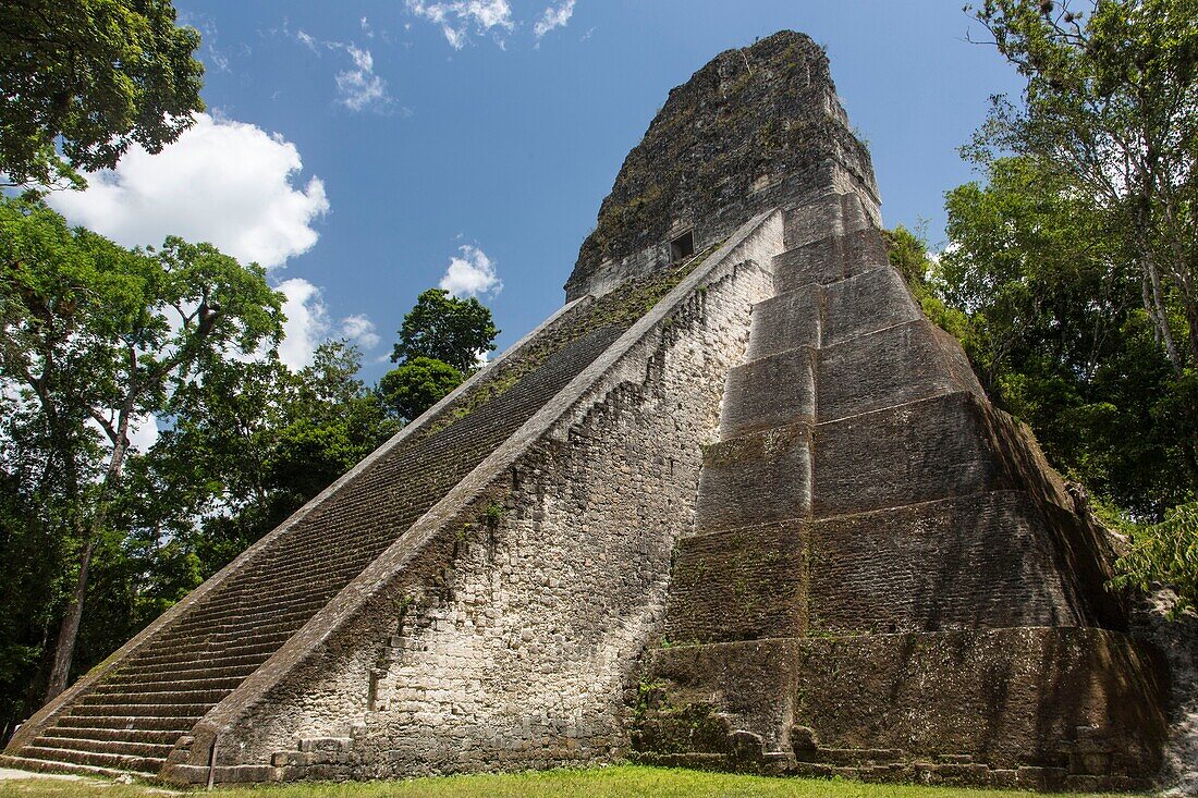 Temple V, a ruin in the archeological site of the ancient Mayan culture in Tikal National Park, Guatemala. UNESCO World Heritage site.