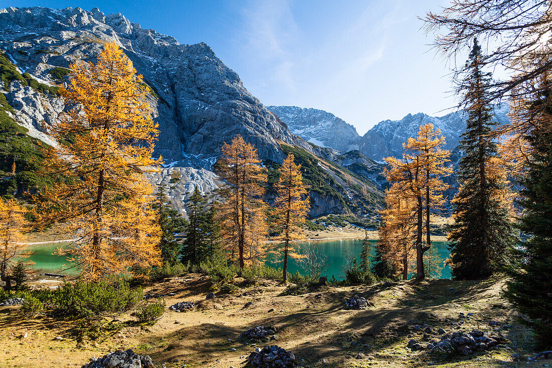 Seebensee mit Mieminger Gebirge im Herbst, Alpen, Tirol, Österreich