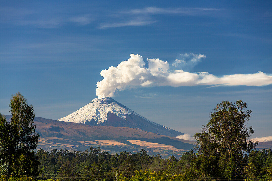 Vulkan Cotopaxi, Nationalpark, Ecuador, Südamerika