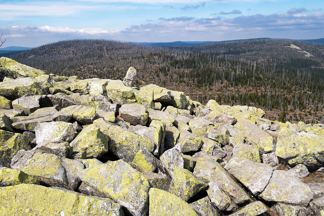 granite blocks on Lusen summit, Bavarian Forest National Park, Bavaria, Germany, Europe