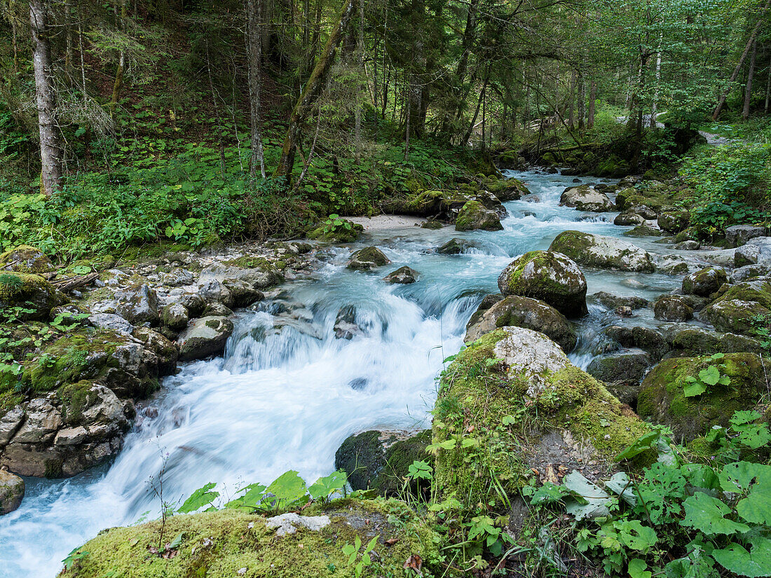 Hammersbach creek near Garmisch Partenkirchen, Wetterstein mountains, Alps, Upper Bavaria, Germany, Europe