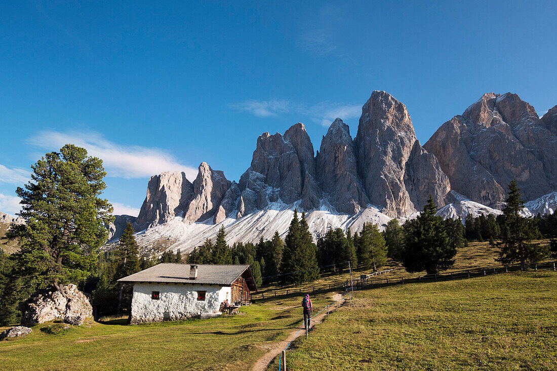 Geislergruppe, Geislerspitzen vom Villnösstal aus gesehen, Glatschalm, Dolomiten, Alpen, Südtirol, Italien, Europa