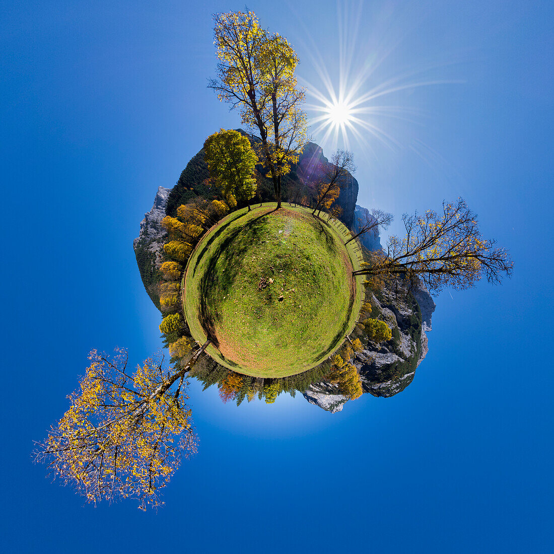 autumncolors in the Eng, maple, Acer pseudoplatanus, little planet, Austria, Europe