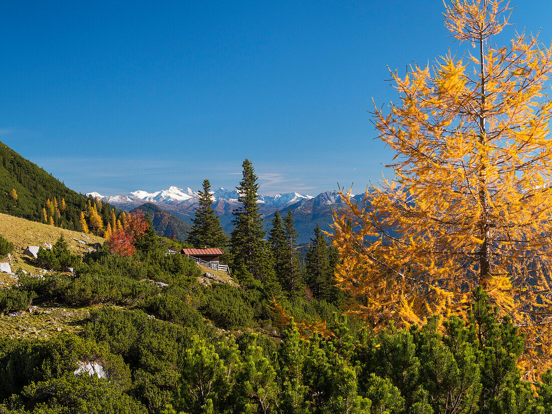 autumn in the mountains, southern slopes of the Wetterstein mountains, autumn, view on Zillertal Alps and Olperer summit, Tyrol, Austria, Europe