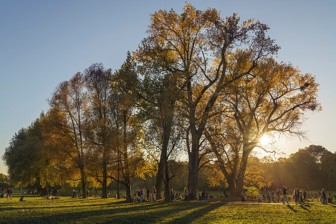 Herbstszene am Eisbach im Englischen Garten, Menschen auf der Wiese, Spaziergänger, München, Oberbayern, Deutschland