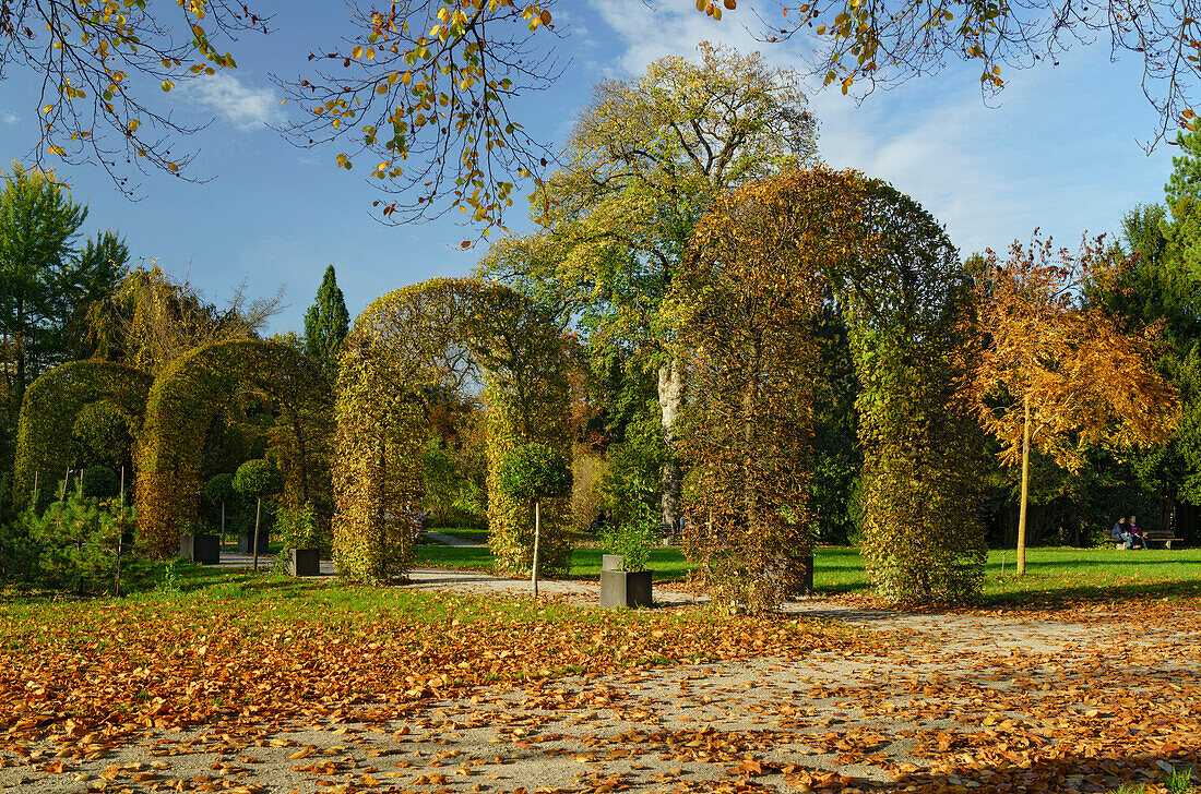 Herbstliches Farbenspiel im Rosengarten, ein Paar verweilt auf einer Bank, München, Oberbayern, Deutschland