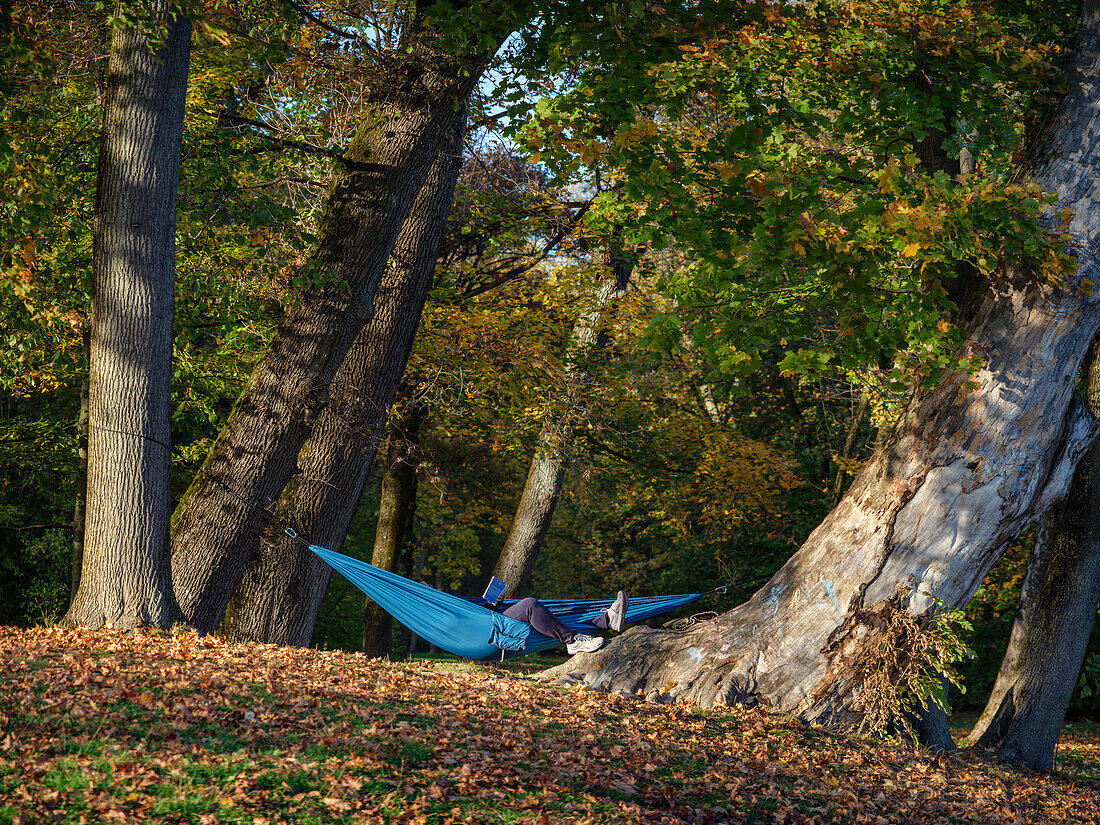 A woman lying in a hammock and reading a book in the autumnal Englischer Garten, Munich, Upper Bavaria, Germany