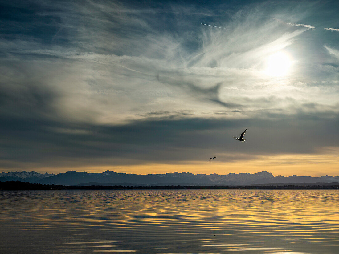 Winter sunshine over lake Starnberg with view to the Alpine peaks, Ambach, Upper Bavaria, Germany