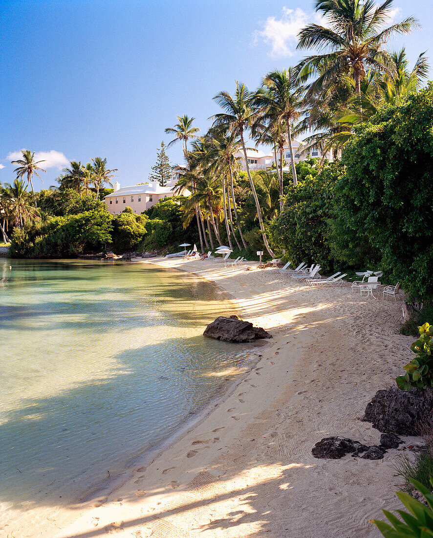 BERMUDA, Cambridge Beach with resort and palm trees