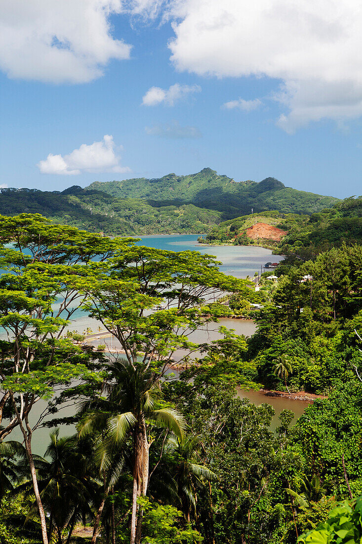 FRENCH POLYNESIA, Tahaa Island. A landscape and view of the lush vegetation of Tahaa Island.