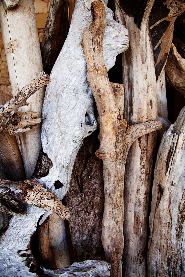 JAMAICA, Oracabessa. Goldeneye Hotel and Resort. Stilll life of driftwood.