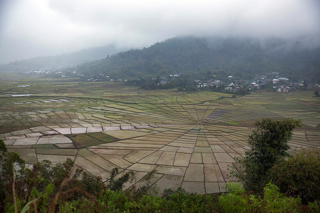 INDONESIA, Flores, landscape of the Lingko or Spider Web Rice Fields in Cancar