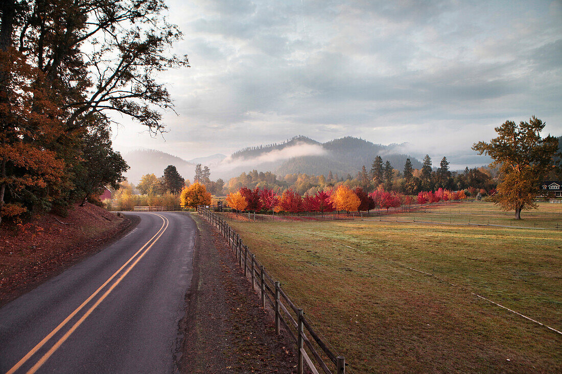 USA, Oregon, Medford, Buren Vineyard