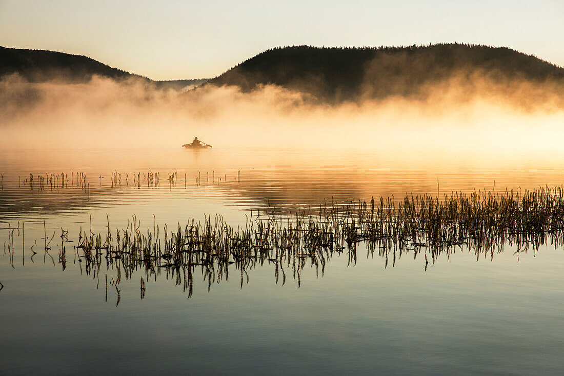 USA, Oregon, Paulina Lake, Brown Cannon, a fisherman goes through the early morning fog in his boat