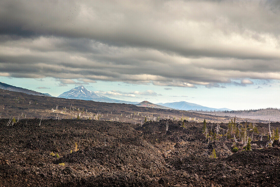 USA, Oregon, Oregon Cascades, view of Mount Jefferson from the top of the Dee Wright Observatory in the middle of an old lava flow at the top of the McKenzie Pass on Hwy 242, the Wilamette National Forest