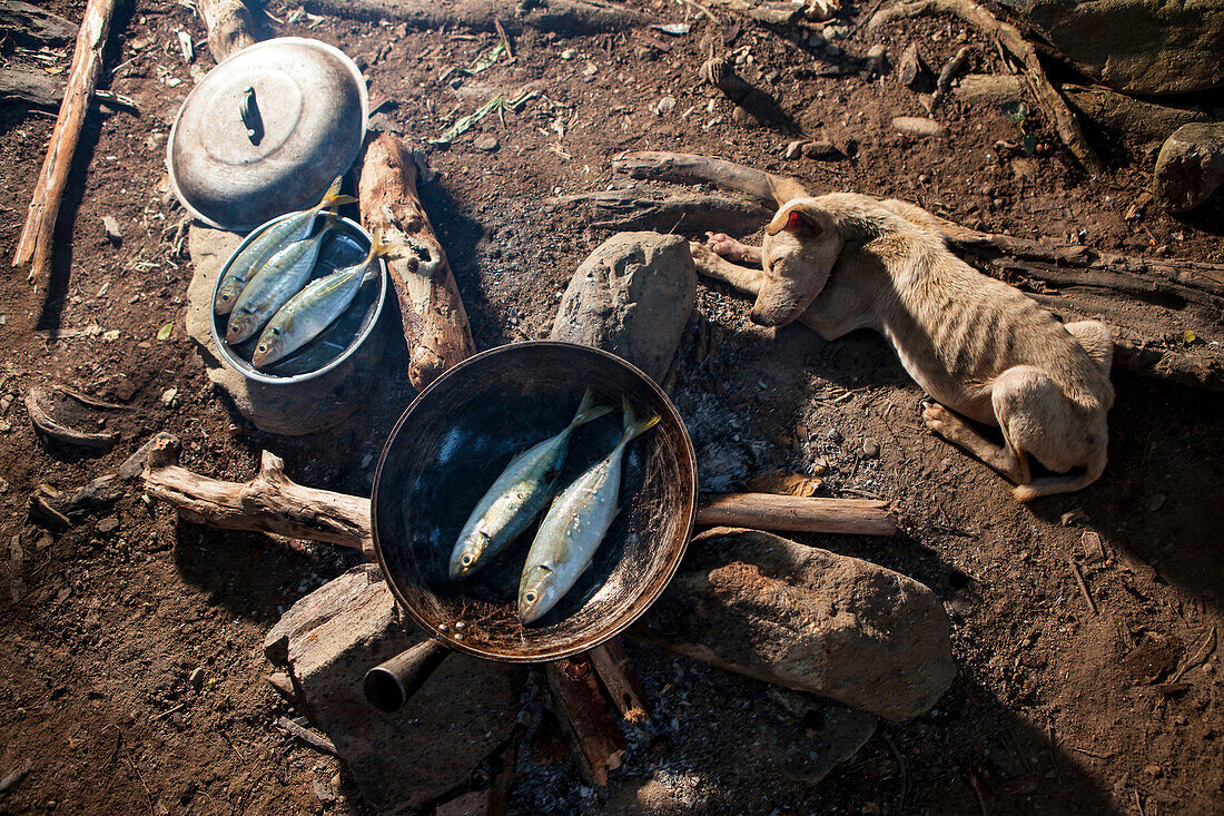 PHILIPPINES, Palawan, Barangay region, dinner and fresh ingredients are being prepared and cooked over an open fire in Kalakwasan Village, the small dog keeps warm