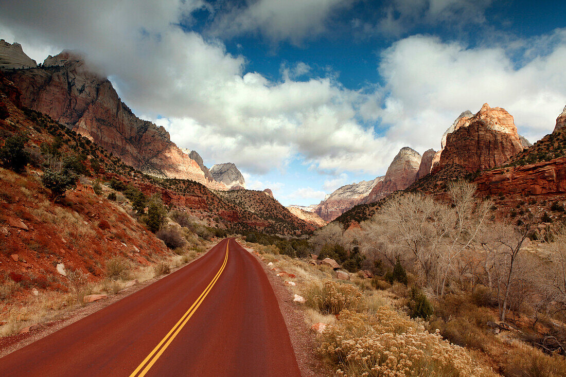 USA, Utah, Springdale, Zion National Park, Zion Canyon Scenic Drive Road winds through the valley floor