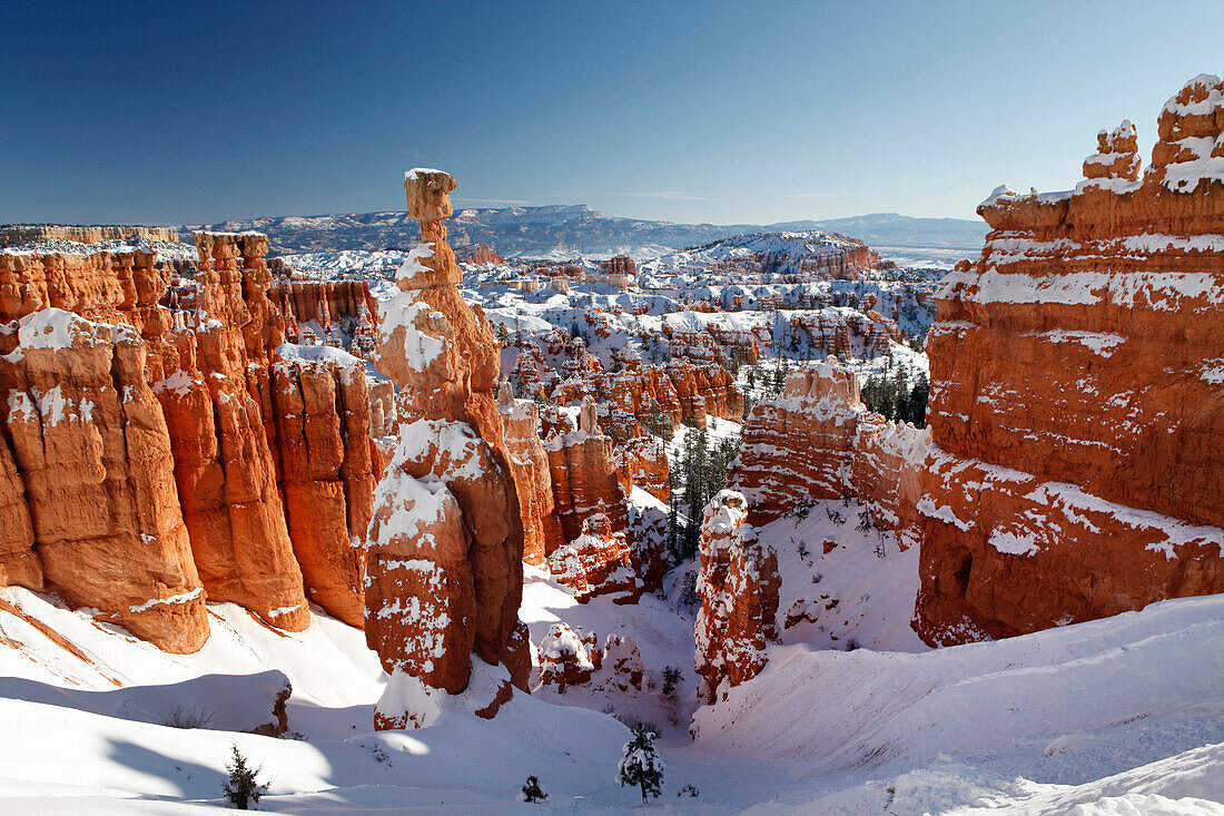 USA, Utah, Bryce Canyon City, Bryce Canyon National Park, snow covered Hoodoos along the Navajo Loop Trail, A formation called Thors Hammer