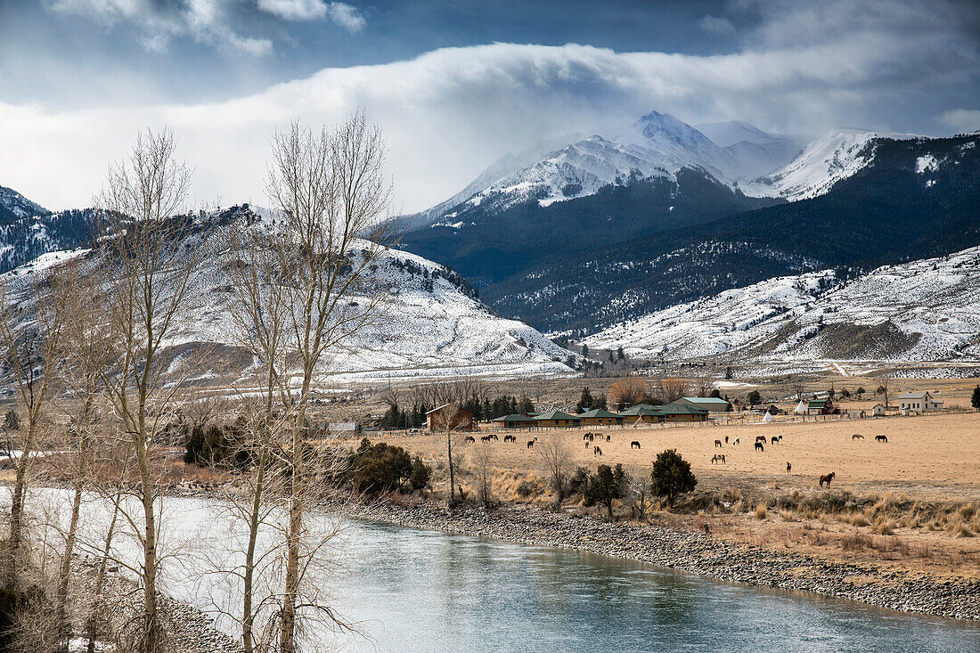 USA, Wyoming, Yellowstone National Park, a majestic ranch sits at the edge of the Yellowstone River outside the North Entrance of the park near Gardnier, Gallatain National Forest and Electric Peak in the distance