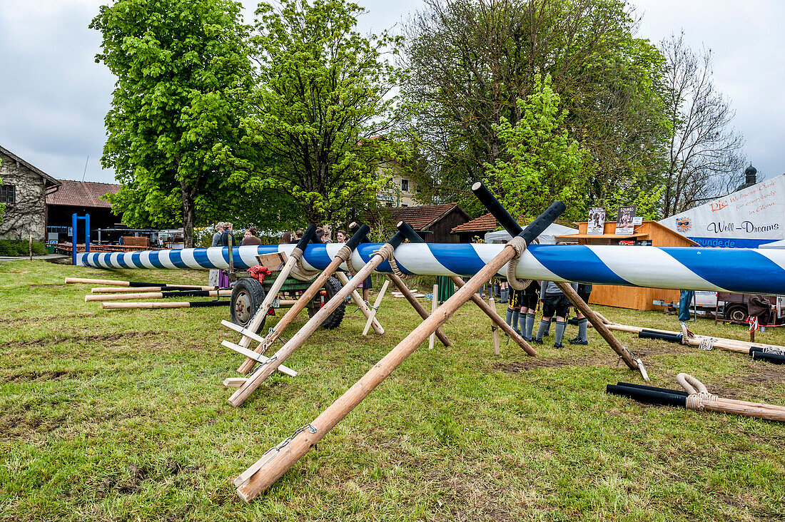 maypole, bavarian tradition, Bavaria, Germany, Europe