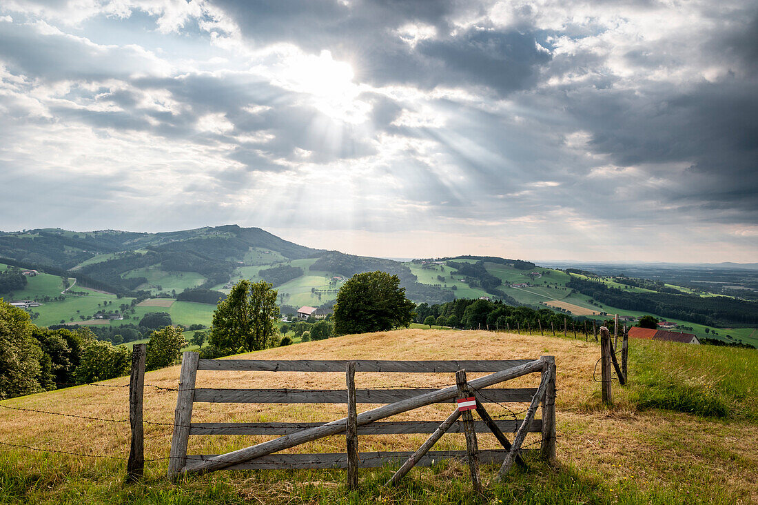 hilly landscape, Austria, Europe