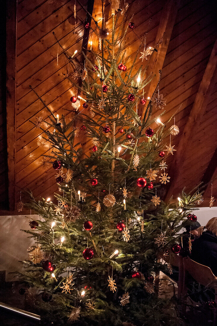 Christmas tree, Catholic, Christian, tradition, ancient customs, Advent, Advent season, Bavaria, Germany, Europe