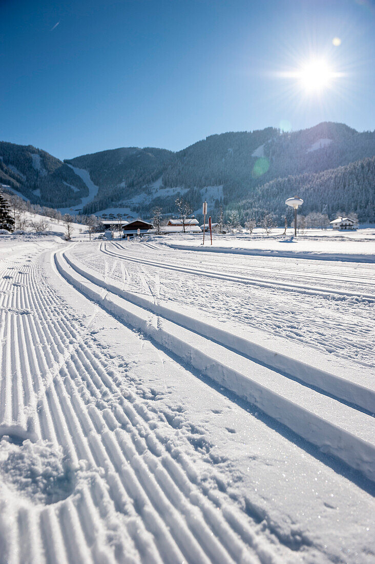 Loipe, Schnee, Winter, Skigebiet, Werfenweng, Österreich, Alpen, Europa