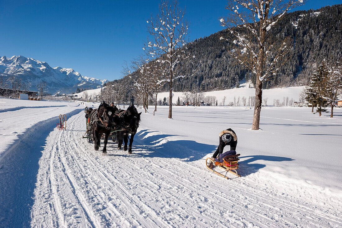 sleigh, winterly landscape, mountains, snow, Werfenweng, Austria, the Alps, Europe