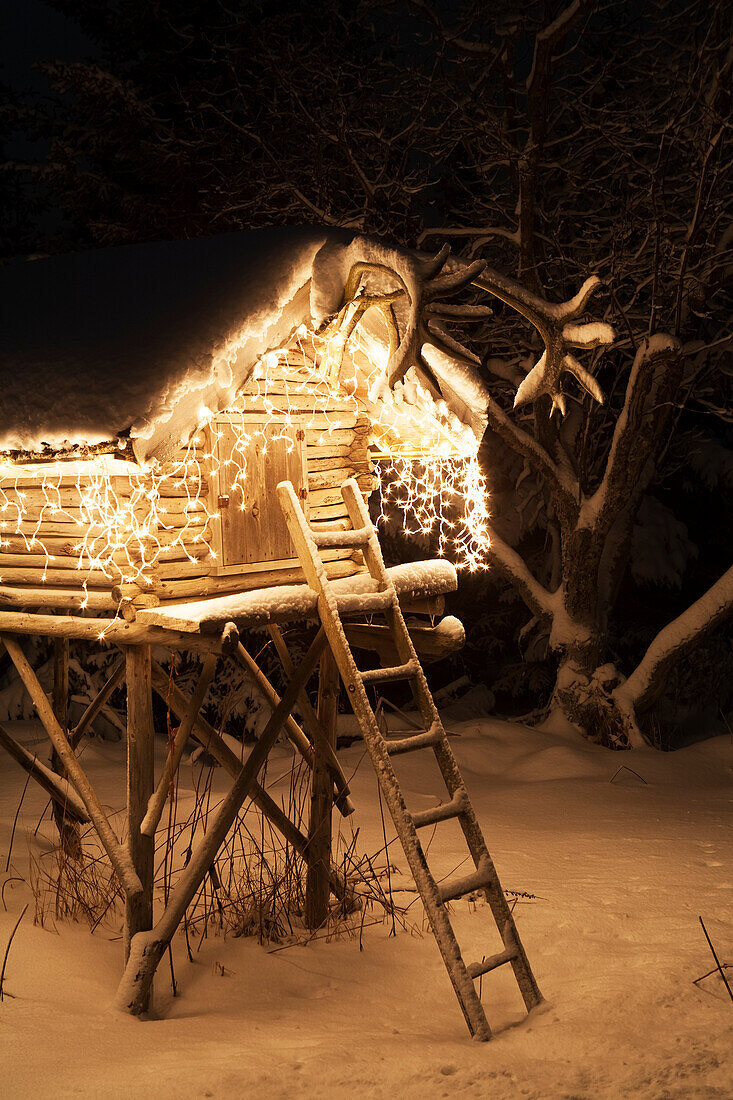 Log Cache Decorated And Lit With Christmas Lights, Alaska, USA