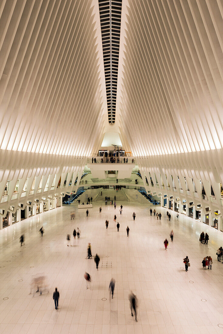 The Oculus Transit Hub; New York City, New York, United States Of America
