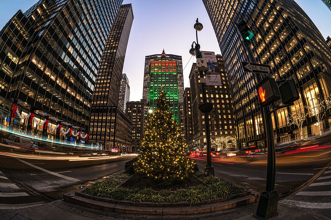 Christmas Decorations On Park Avenue; New York City, New York, United States Of America