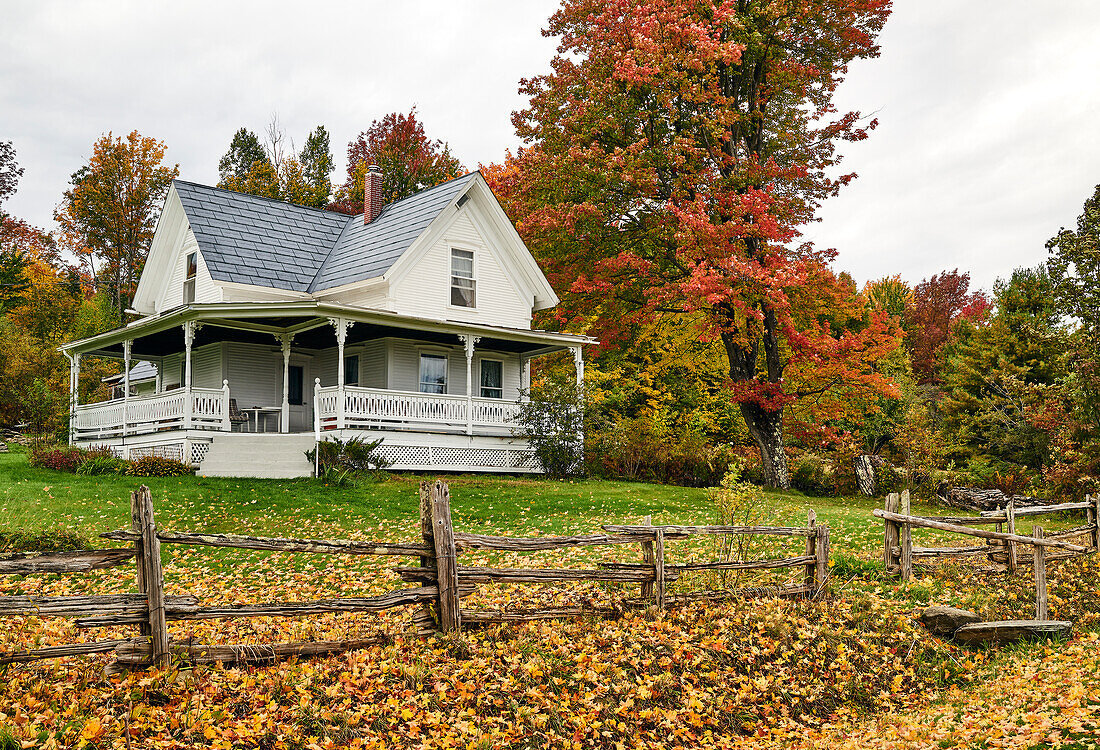 19th Century Farmhouse In Autumn; Dunham, Quebec, Canada