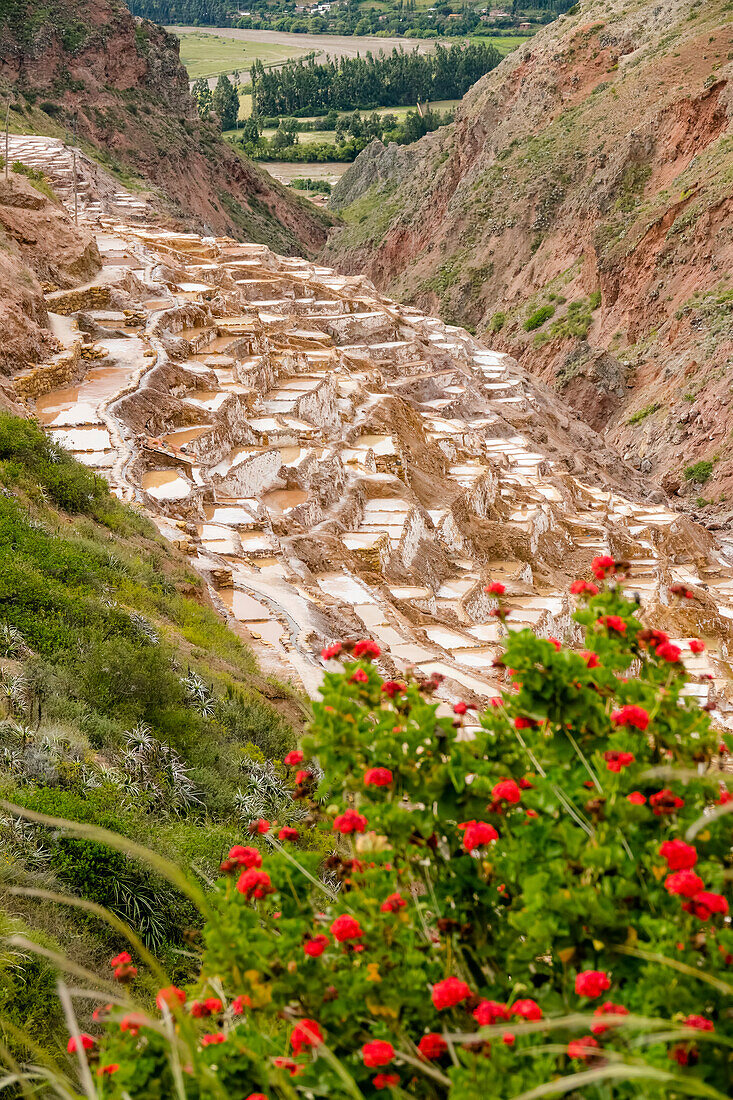 Maras Salt Flats, Sacred Valley; Cuzco Province, Peru